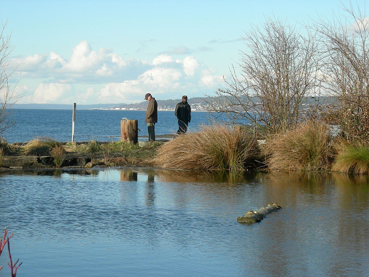 Golden Gardens Park