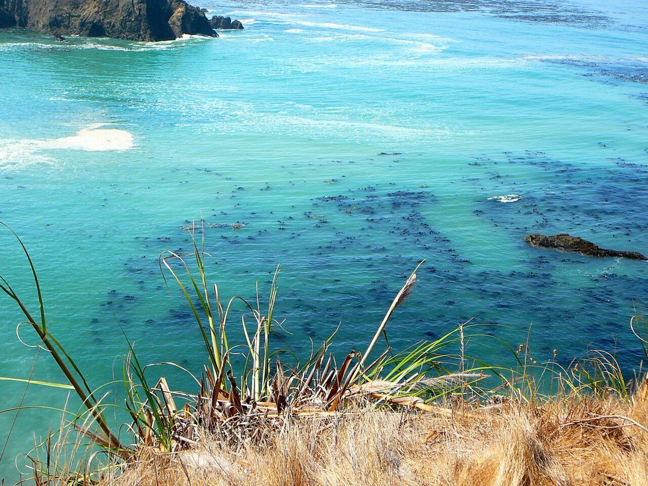 Greenwood State Beach