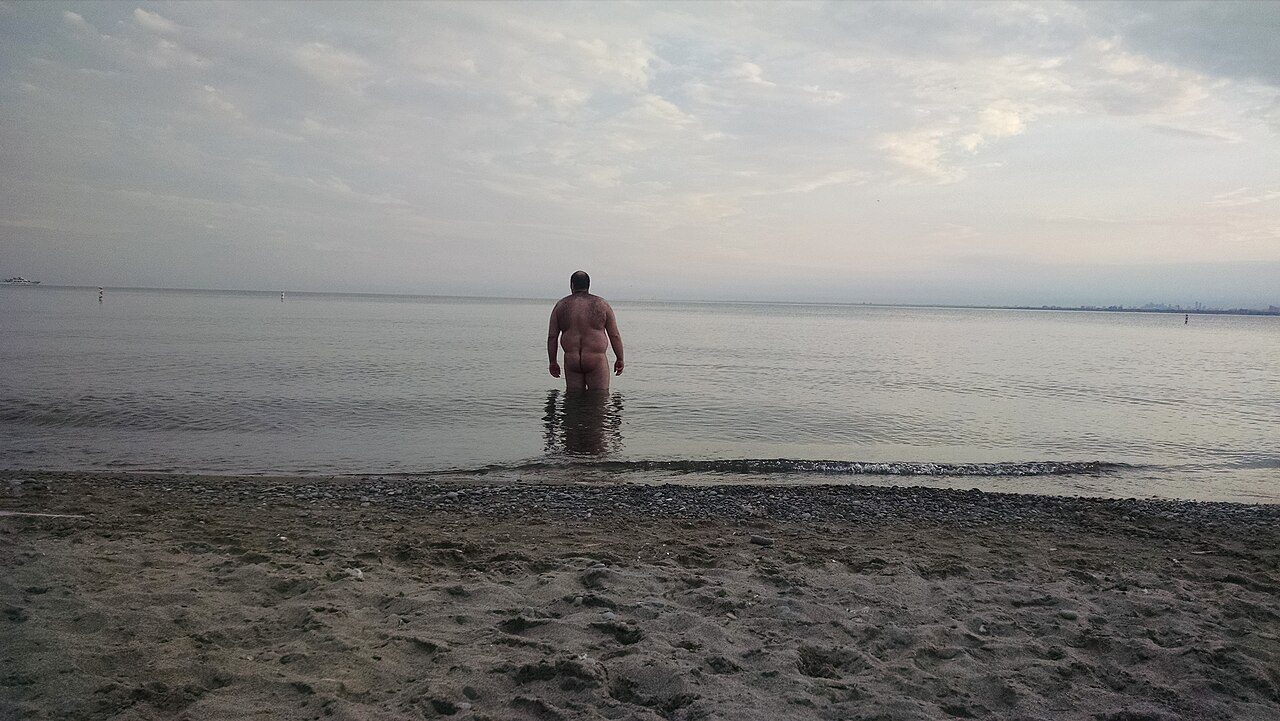 Hanlan's Point Beach