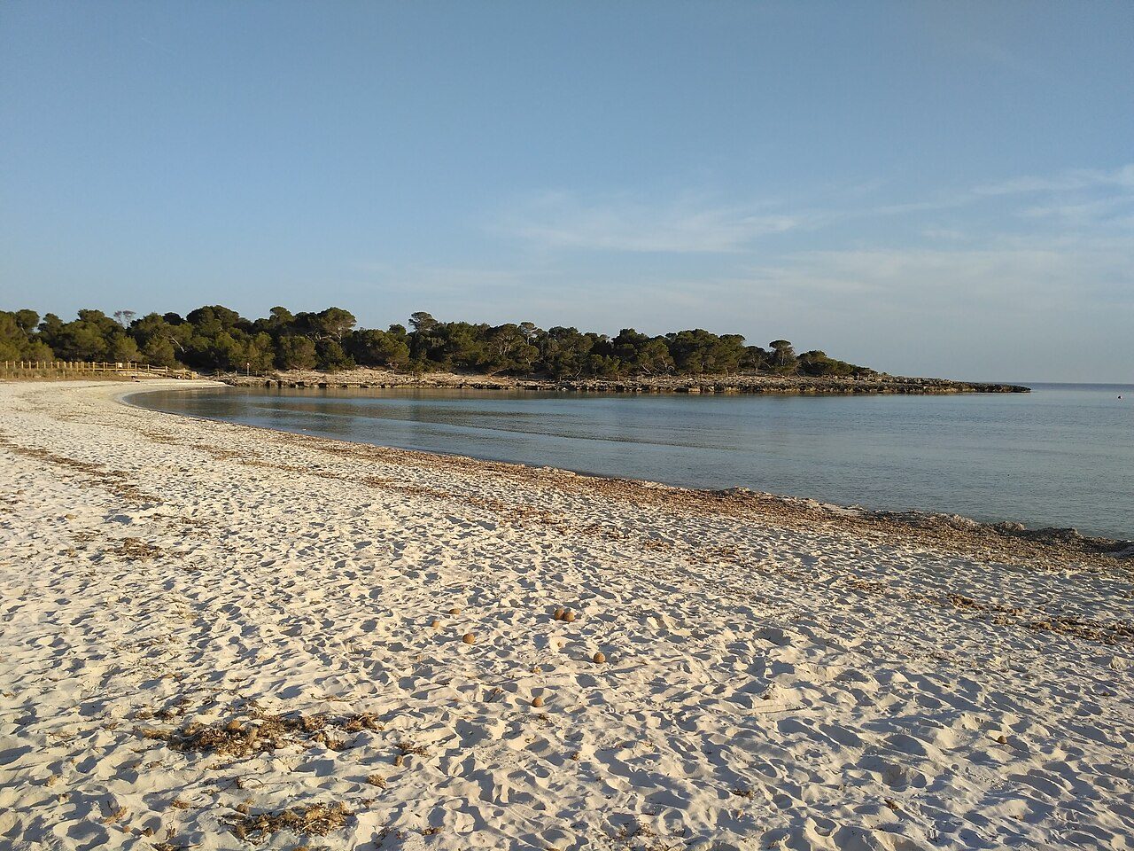 Son Saura