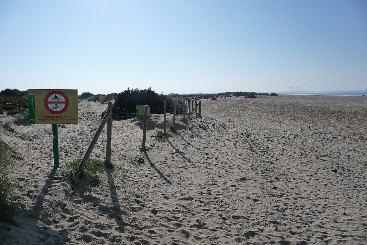 Playa de Levante de Los Toruños