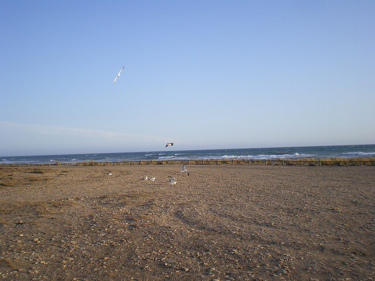 Torregarcía