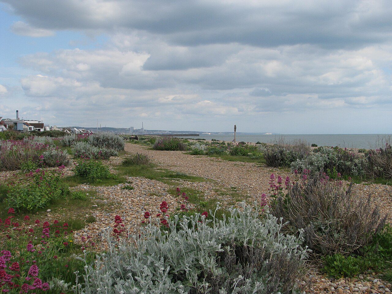 Shoreham Beach
