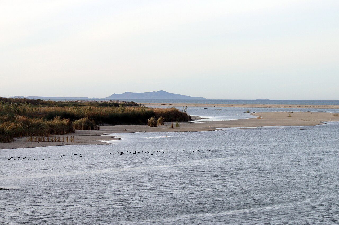 McGrath State Beach