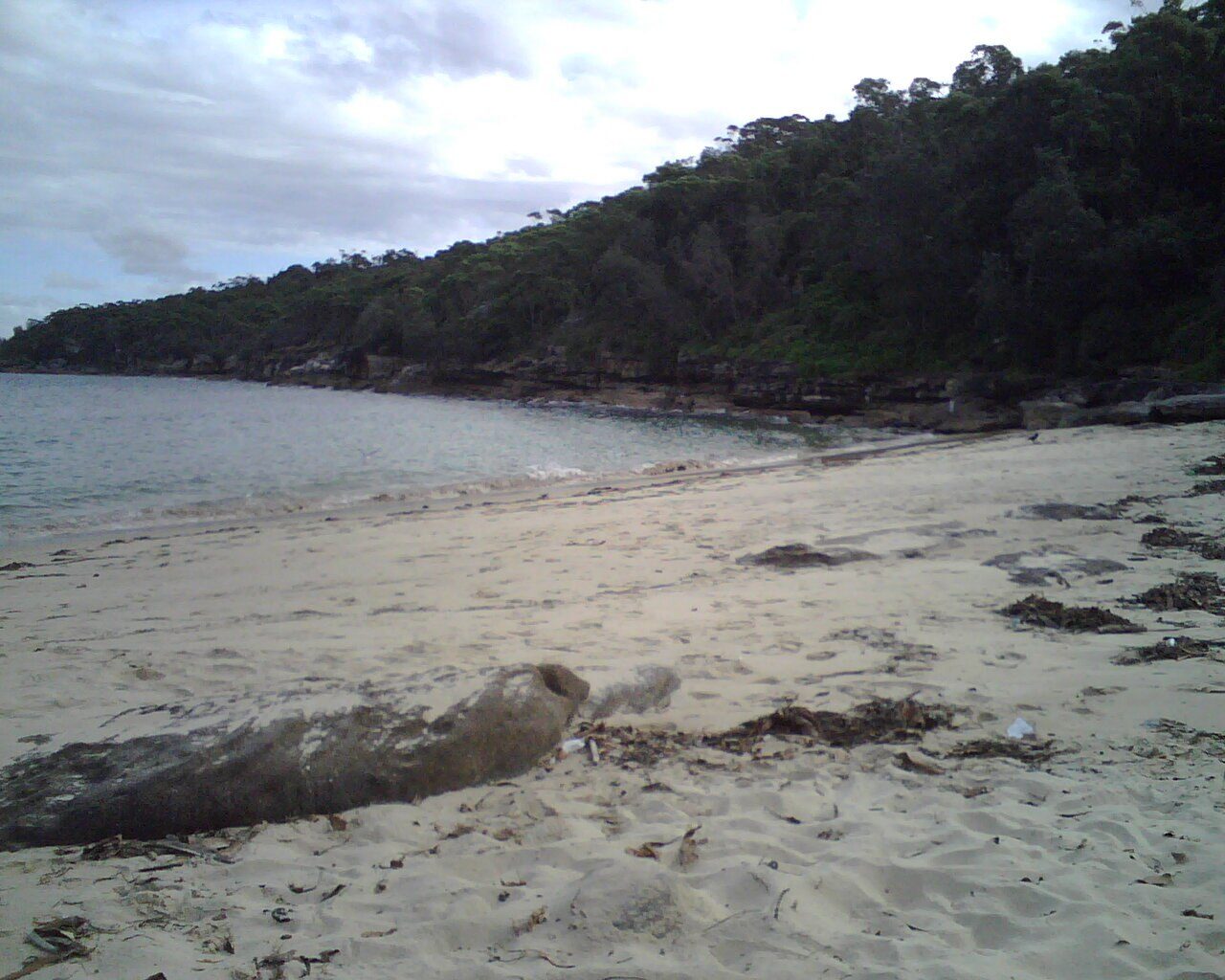 Obelisk Beach