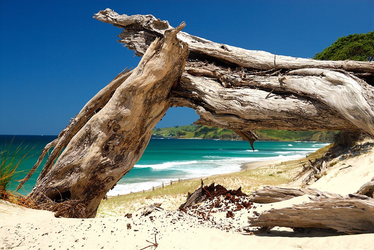 Pākiri Beach