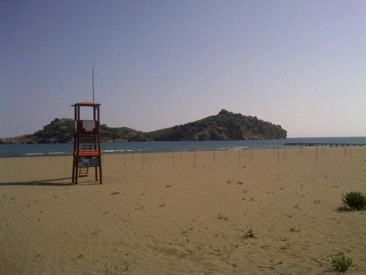 Sarigerme