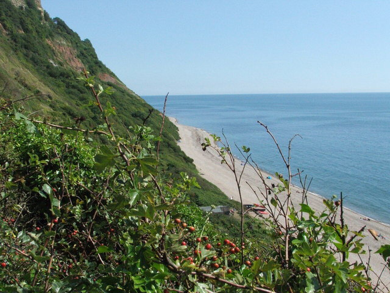Weston Mouth