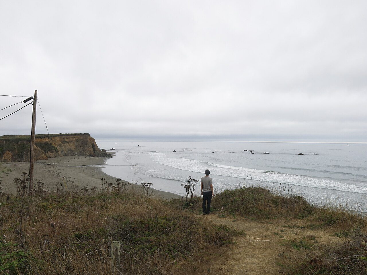 Westport–Union Landing State Beach