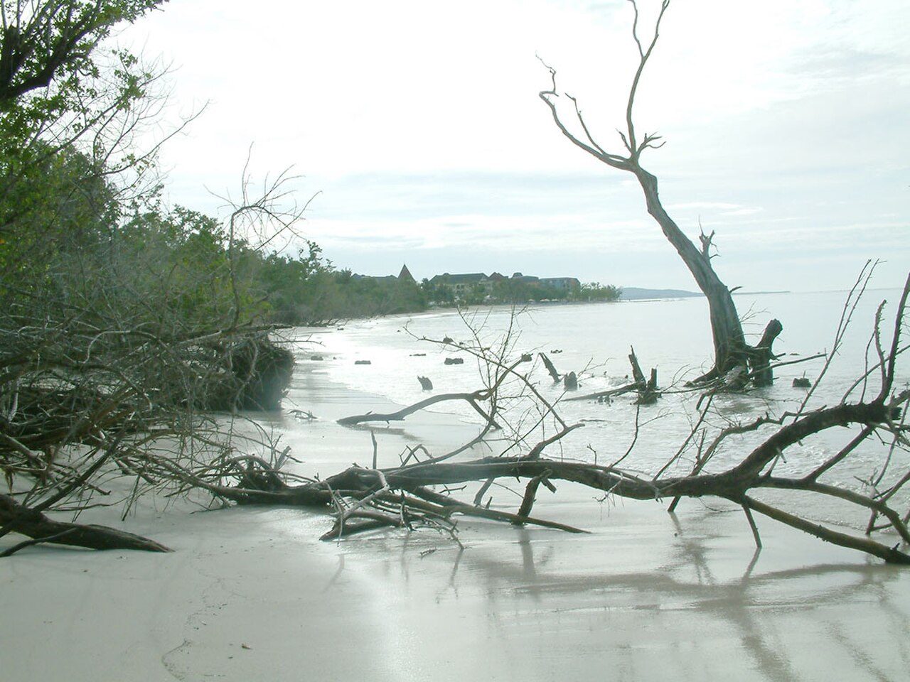 Whitehouse Beach