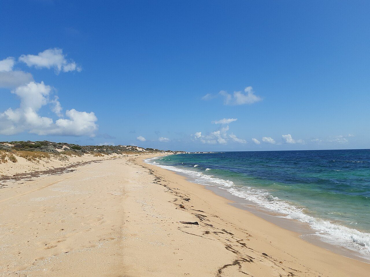 Tims Thicket Beach