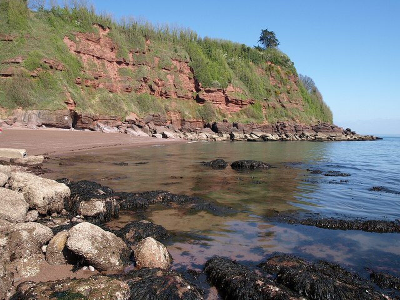 Maidencombe Beach