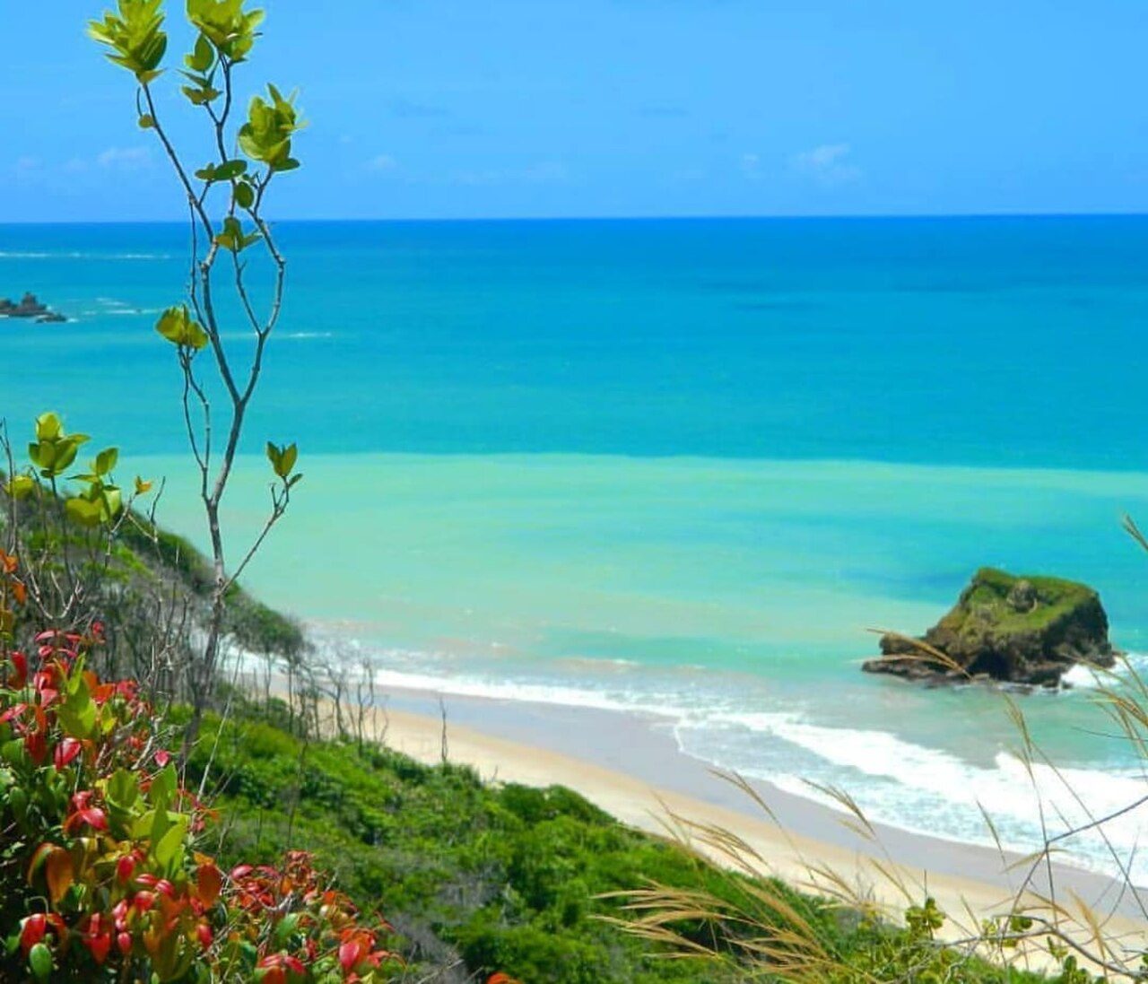 Arapuca beach