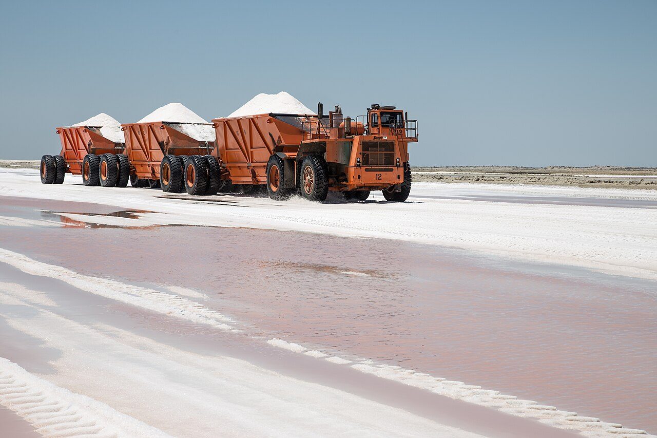 Beach near Guerrero Negro, Mexico