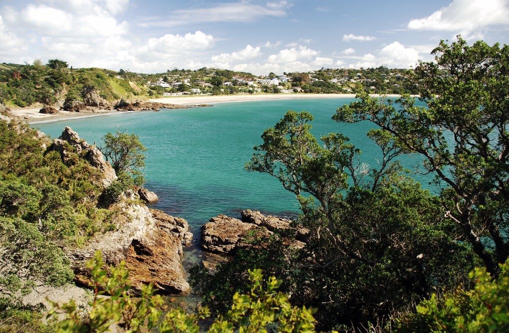 Beach near Waiheke Island, New Zealand