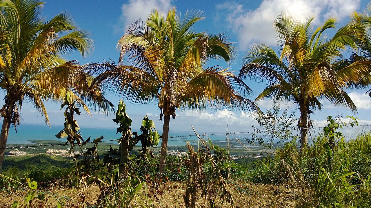 Beach near Ceiba, Puerto Rico