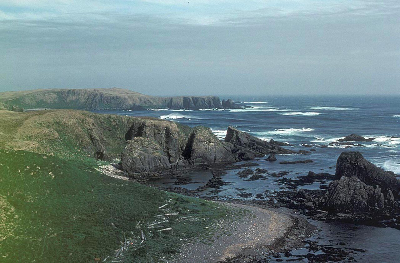 Beach near Amchitka, United States