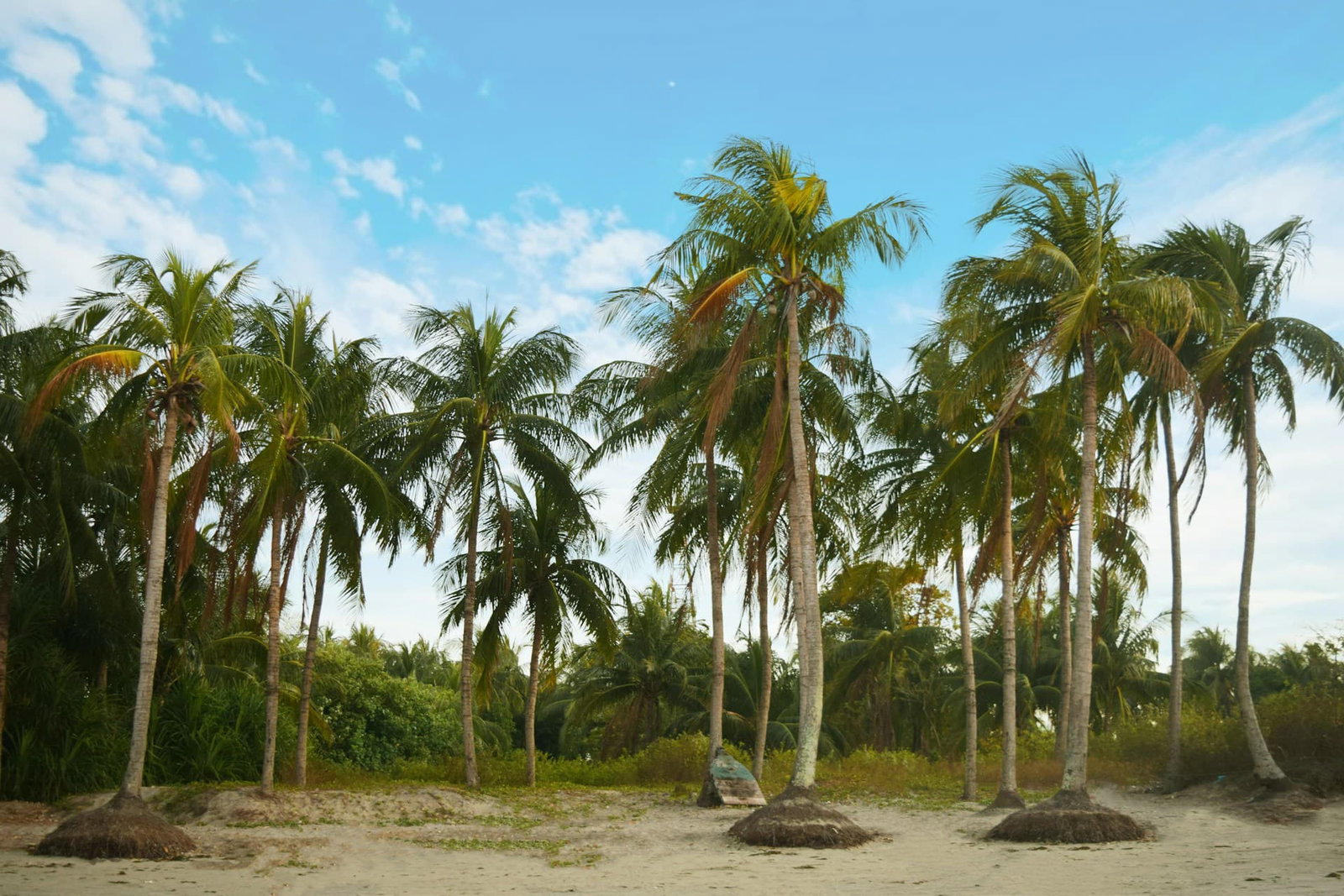 Bangladesh holidays