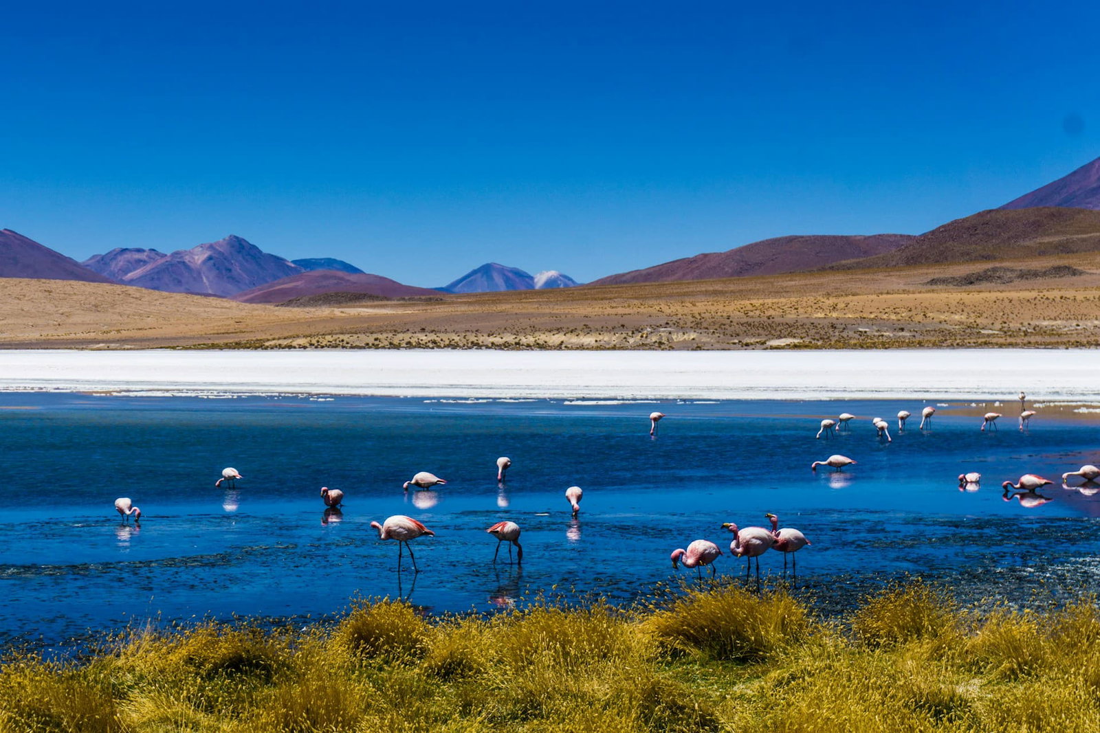 Bolivia holidays