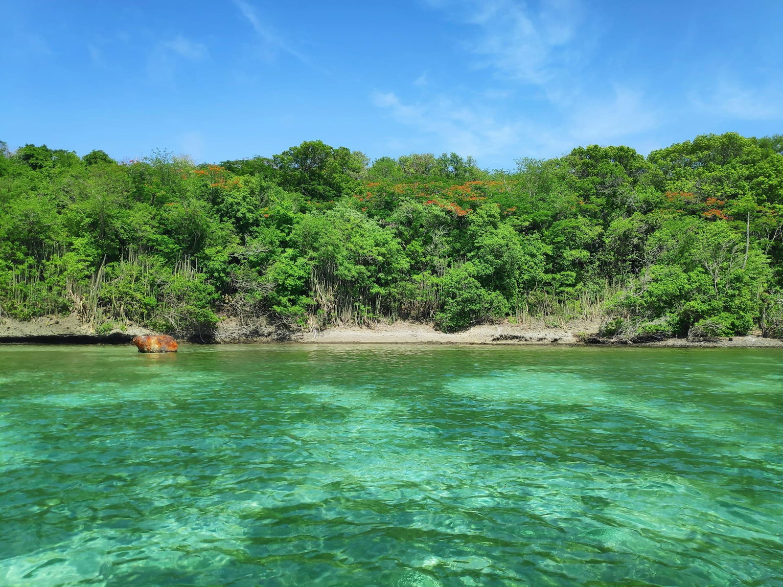 Martinique holidays