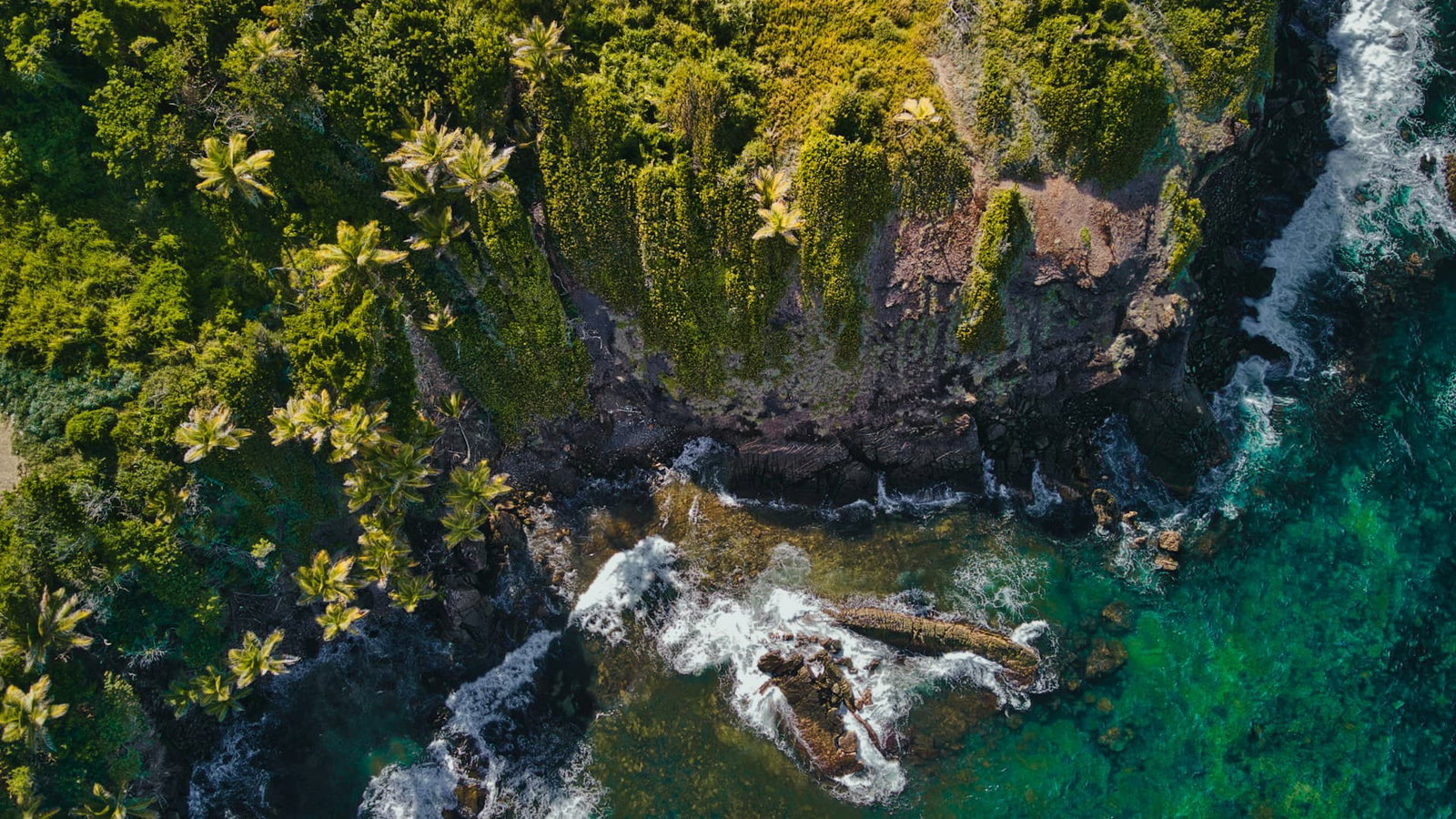 Trinidad and Tobago holidays