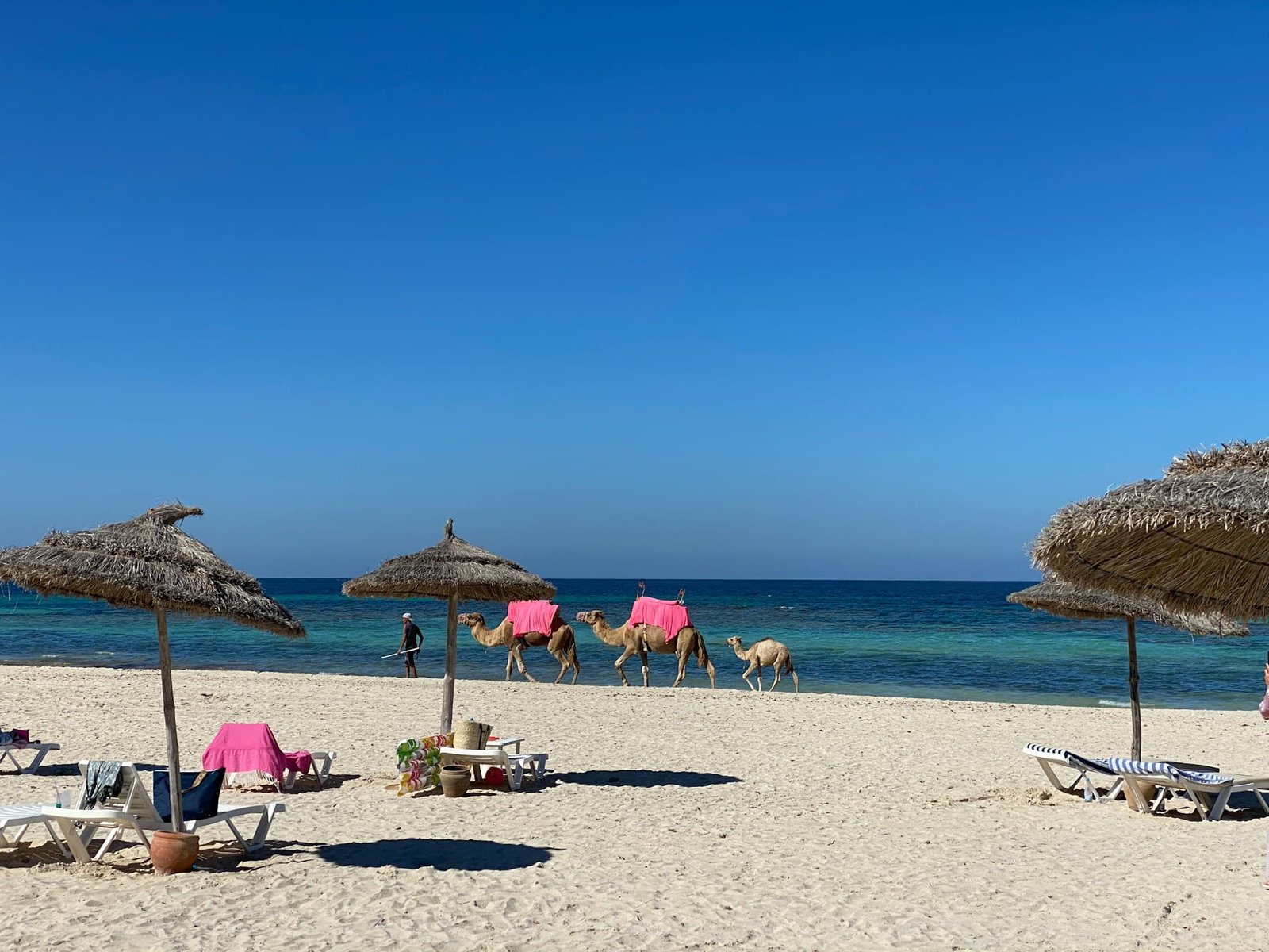Tunisia holidays